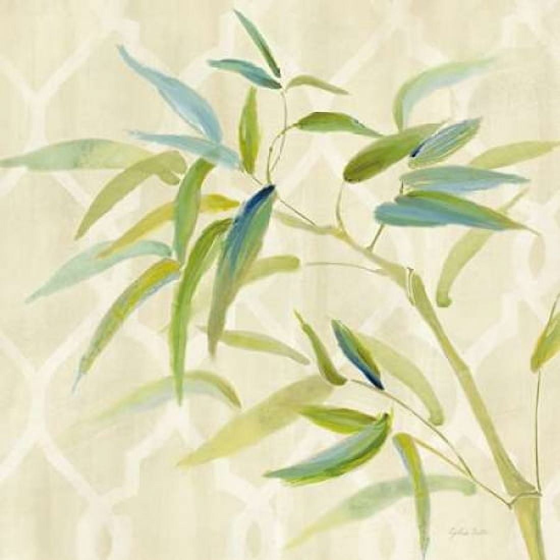 Zen Bamboo II Canvas Art - Cynthia Coulter (24 x 24)