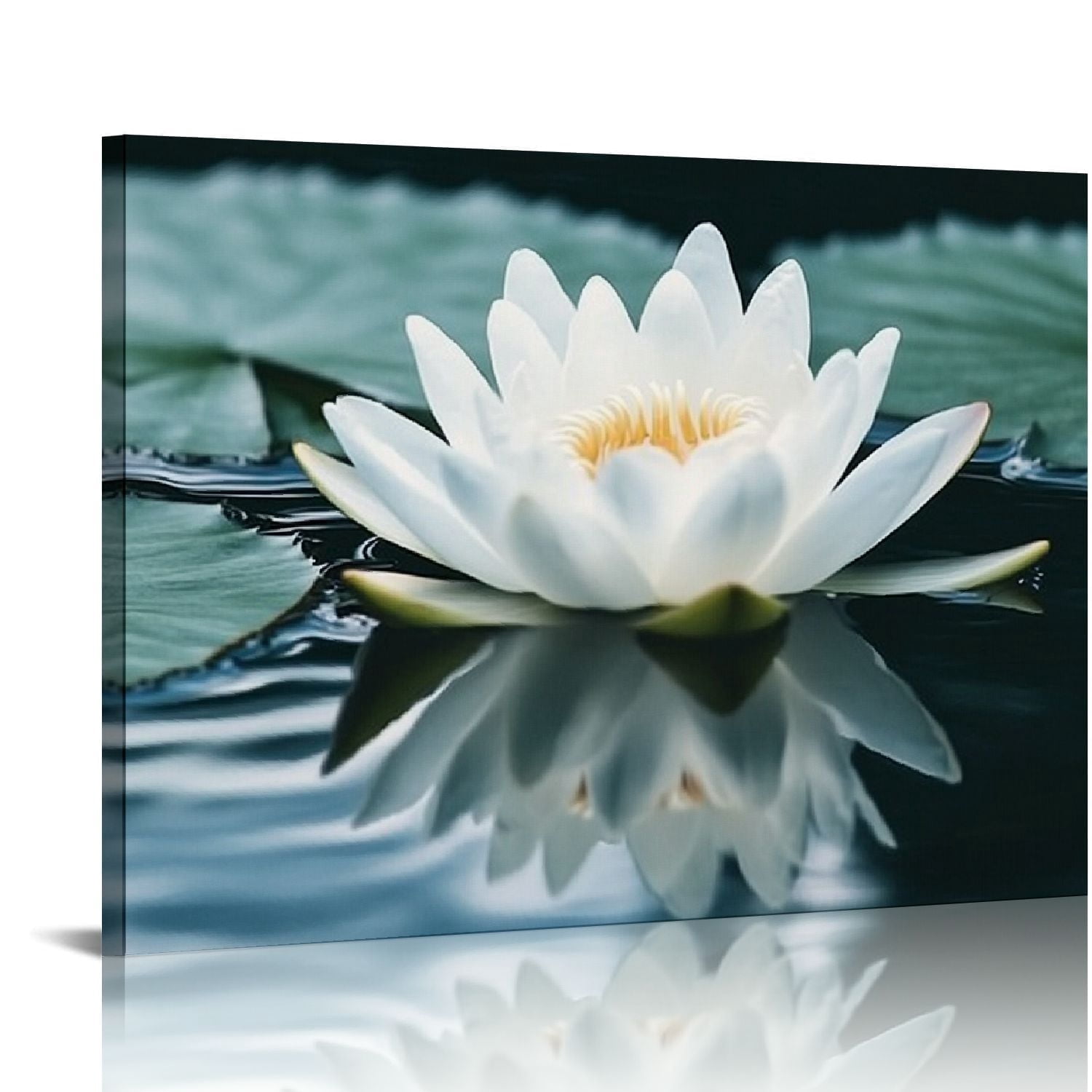 Zen Canvas Wall Art White Lotus Flower Bloom in Water Picture Prints ...
