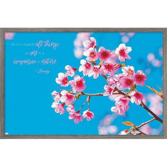 Zen - Cherry Blossom Wall Poster, 14.725" x 22.375", Framed