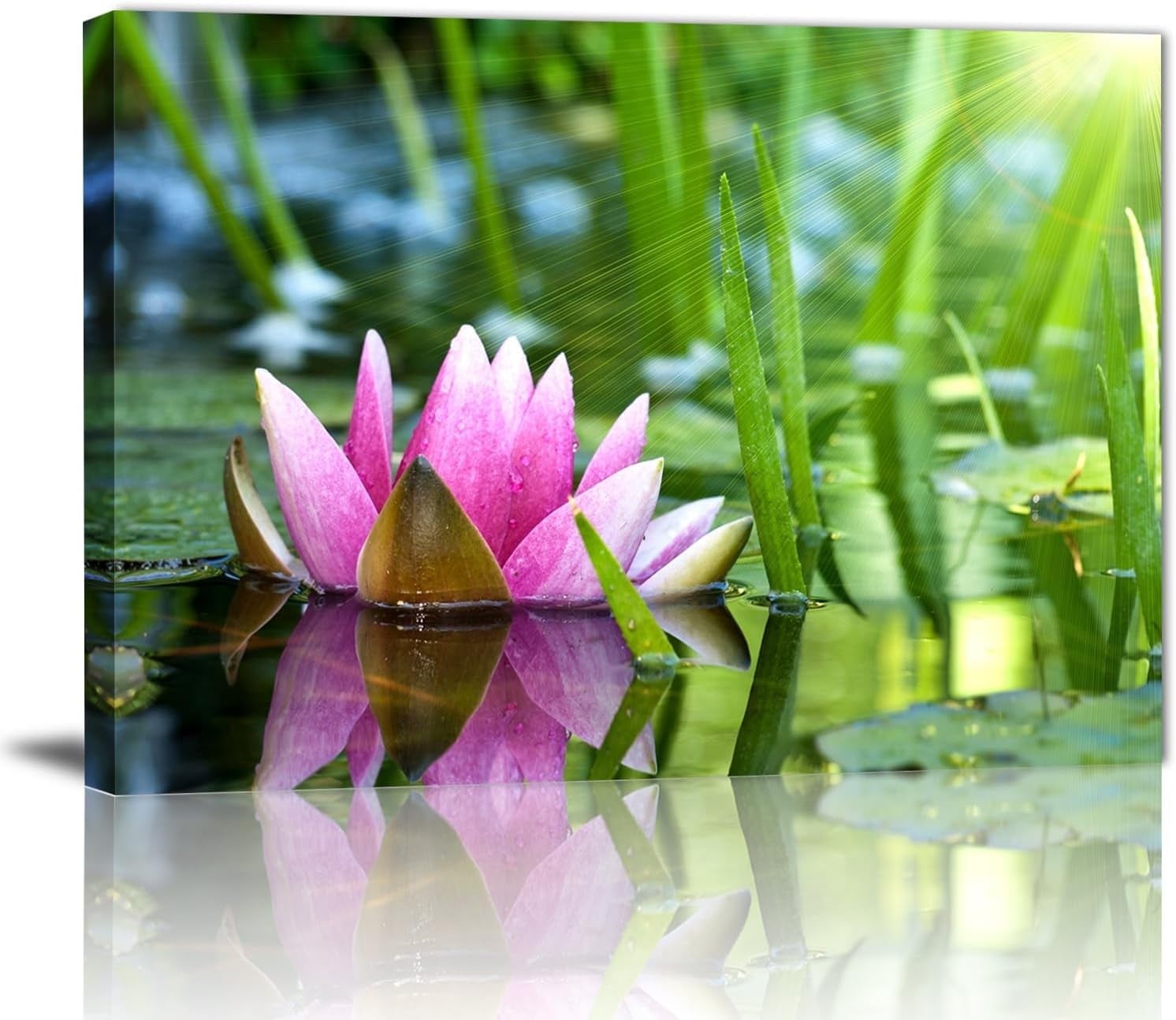 Zen Flower Canvas Wall Art Water Lilies in Full Bloom in the Sun Canvas ...