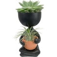 thumbnail image 1 of Zen Harmony Planter - Live Plants in a Decorative Pot - Cactus Succulent Air Plant - A Symbol of Serenity and Natural Beauty, 1 of 5