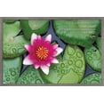 thumbnail image 1 of Zen - Lily Pads Wall Poster, 22.375" x 34", Framed, 1 of 3
