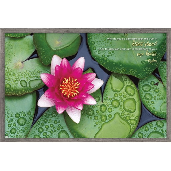 Zen - Lily Pads Wall Poster, 22.375" x 34", Framed