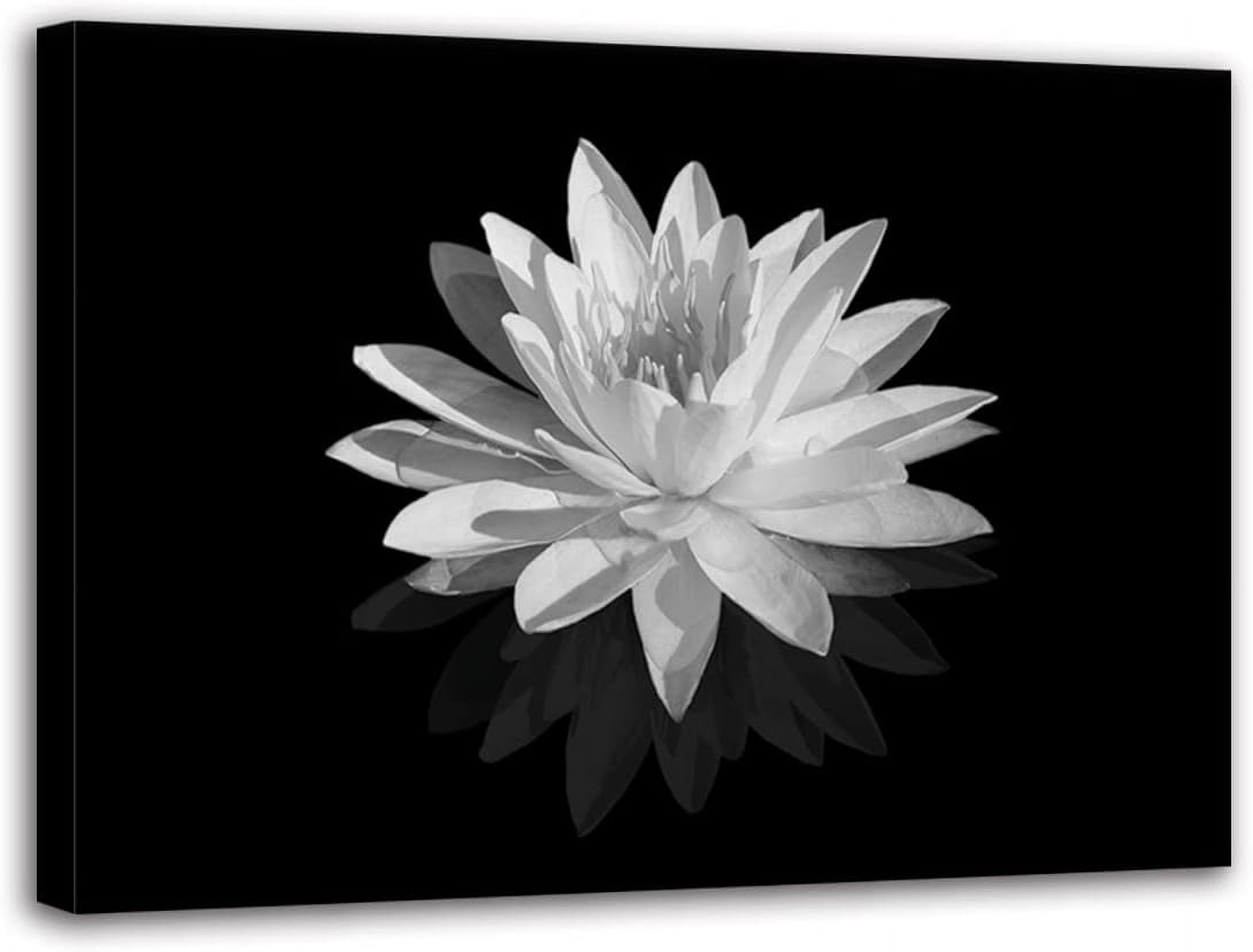 Zen Lotus Flower Canvas Print, Black and White Floral Wall Art, Spa ...