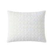 Zen Master 64-00001-PC-AW Cotton Bed Bug & Dust Mite Pillow Protector, Queen Size