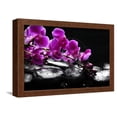 thumbnail image 1 of Zen Stone and Pink Orchid with Reflection, Framed Art Print Wall Art by crystalfoto Sold by Art.Com, 1 of 6
