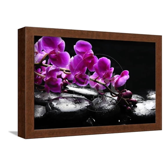 Zen Stone and Pink Orchid with Reflection, Framed Art Print Wall Art by crystalfoto Sold by Art.Com