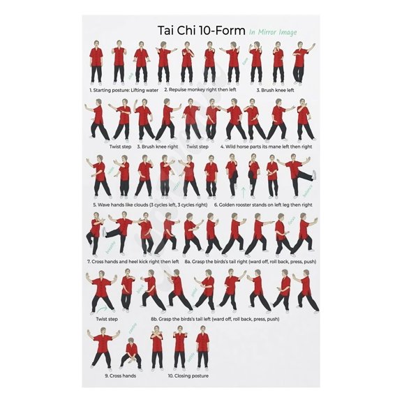 Zen Tai Chi Poster for Beginners 10 Step Flow Chart Guide Soothing Martial Arts Movement Sequence for Home Practice Meditation and Yoga Studio Wall Art poster