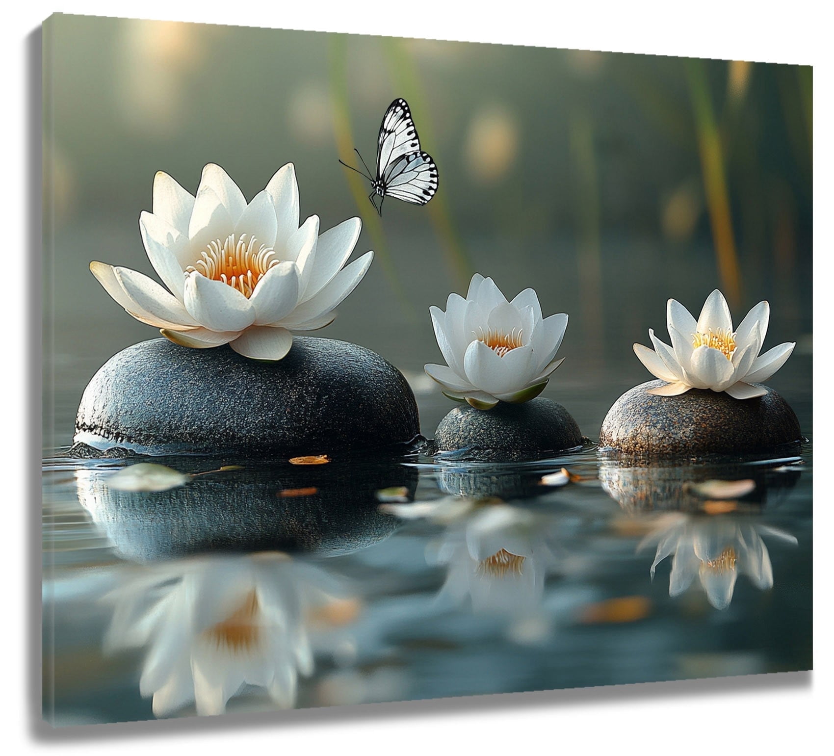 Zen Wall Art Zen Stone White Lotus Flower Bloom in Water Butterfly ...