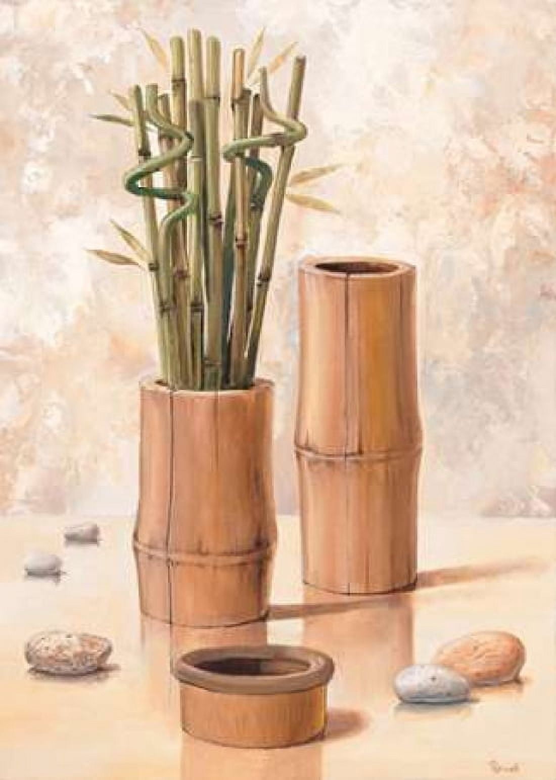 Zen bamboo II Canvas Art - Renee (20 x 28)