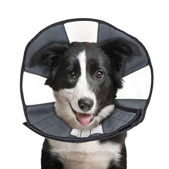 Zen Pet ZenCone Soft Recovery Collar for Dogs Large