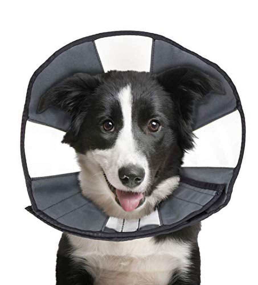 Comfortable e collar discount