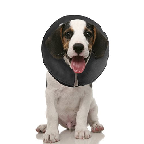 Collar comfy sales