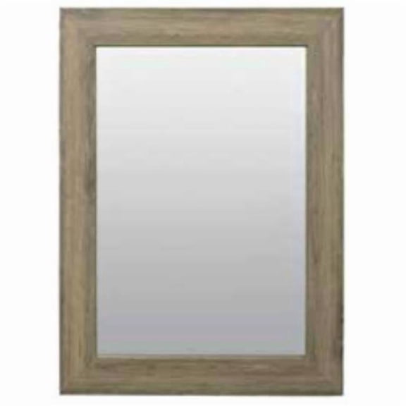 Zenith Home M2026PA 20 x 26 in. Framed Dec Mir Palomino - Pack of 4