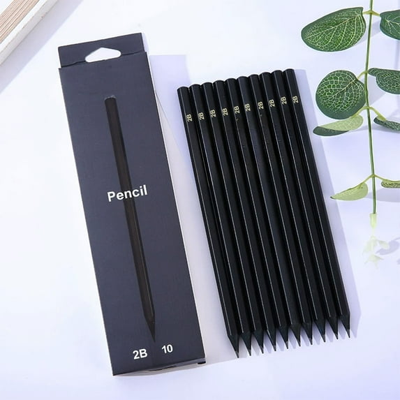 Zenithome 10-Pack Multicolor Plastic Fountain Pens with 0.5mm Extra Fine Nib, Lightweight for Smooth Writing, Office & Note Taking