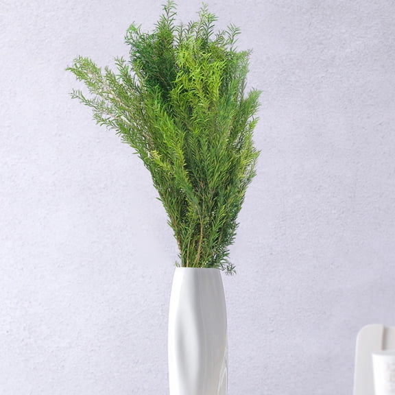 Zenithome Natural Dried Plant Inflorescence for Vase Decoration, 16.9 Inch Faux Branches with Realistic Leaves, Easy to Arrange Centerpiece for Home Office Wedding Party