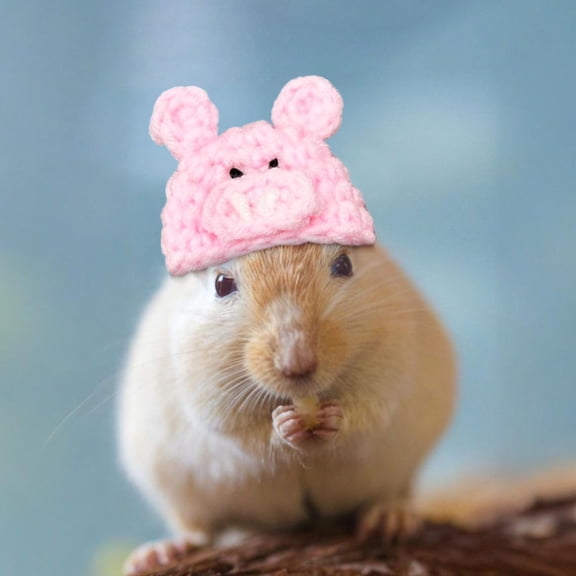 Zenithome Soft Comfy Cute Adjustable Mini Pet Hat For Daily Wear Photo Shoot Holiday Party In Various Styles Like Frog Carrot Rainbow For Small Animals 3.9 In