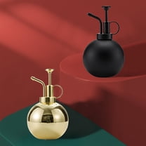 Zenithome Stainless Steel Spray Bottle Watering Can 500ml for Indoor Plants Bonsai Garden Houseplant Mister Spritzer Modern Gardening Tools