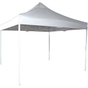 Zenport AGT3M Solar Guard Canopy, 10x10-Foot
