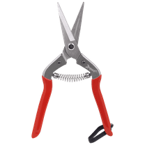Zenport H300S Harvest Shear, Long Straight, 2 Inch Stainless Steel Blades, Red