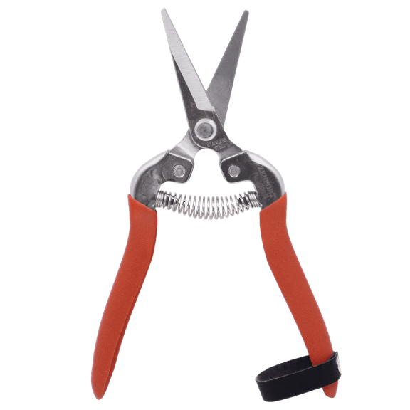 Zenport H300SC Harvest Shear, Long Curved Blade, 2 Inch Stainless Steel Blades, Red