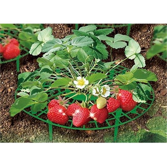 Zenport Industries P309-10PK Plant Supports for Gardening fruits & Vegetables - Pack of 10