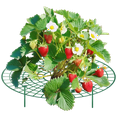thumbnail image 1 of Zenport P309 Garden Supports Fruit and Vegetable Gardening, Green, 1 of 5