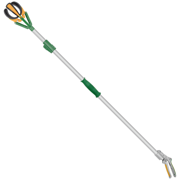 Zenport ZL6146A Long Reach Telescopic Fruit Picker, 6-Feet Extension, Silver