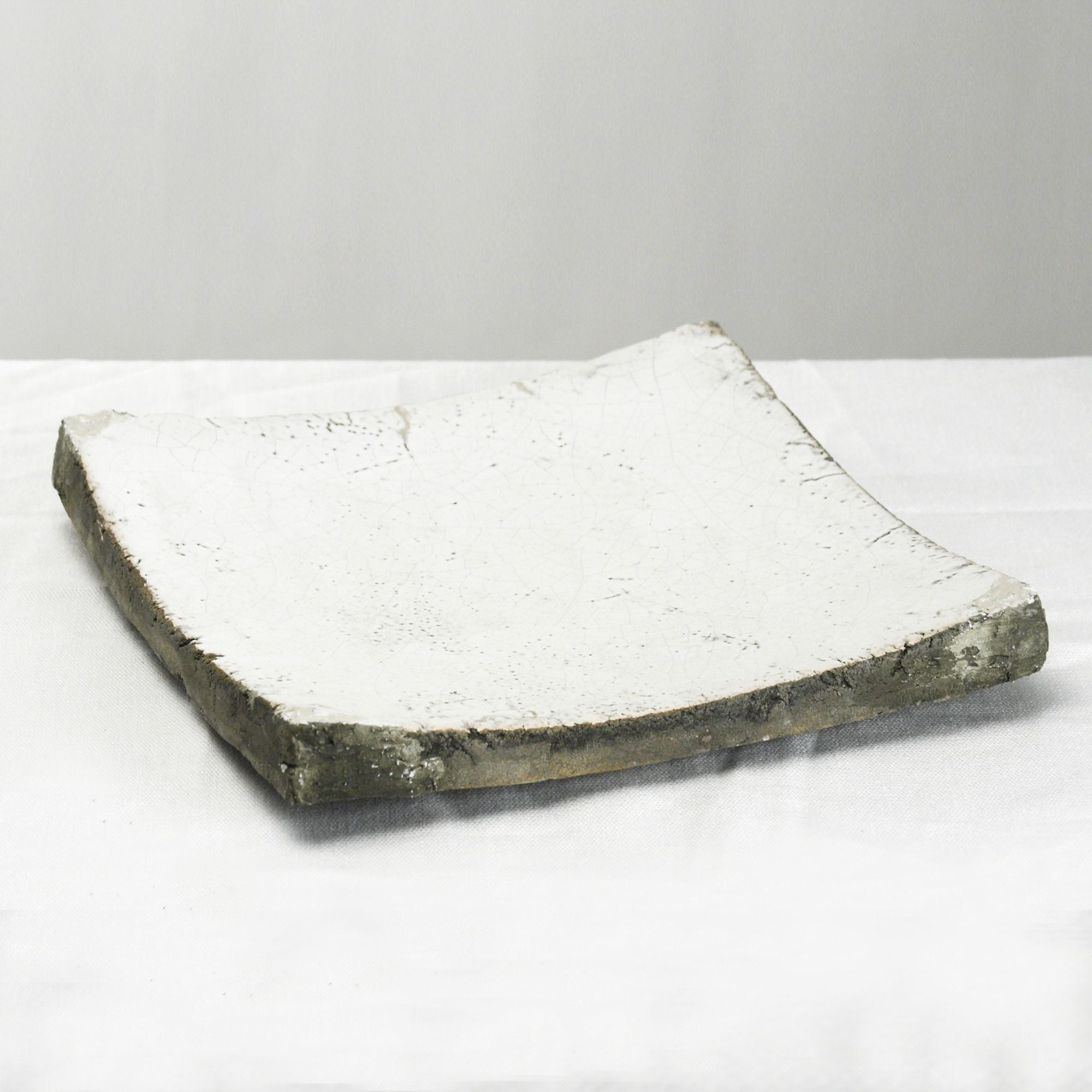 Zentique Dish - Thumbnail 2