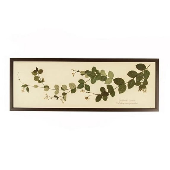 Zentique Kudzu Rectangular Wall Print