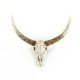 thumbnail image 1 of Zentique SHI003 Bull Skull Wall Decor- 26 x 19.5 x 14.5 in., 1 of 3