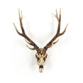 thumbnail image 1 of Zentique SHI017 Deer Skull Wall Decor- 32.5 x 45.5 x 18.3 in., 1 of 3