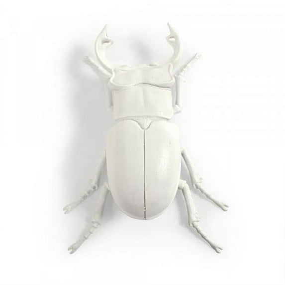Zentique TM6516263WT 10 x 2.5 x 7 in. Resin Beetle Wall Art, White