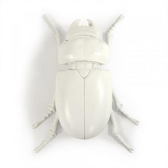 Zentique TM6516264WT 10 x 2.5 x 7 in. Resin Beetle Wall Art, White