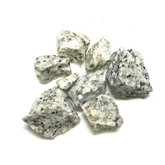 Zentron Crystal Collection: 1/2 Pound Natural Rough Dalmation Jasper Stones