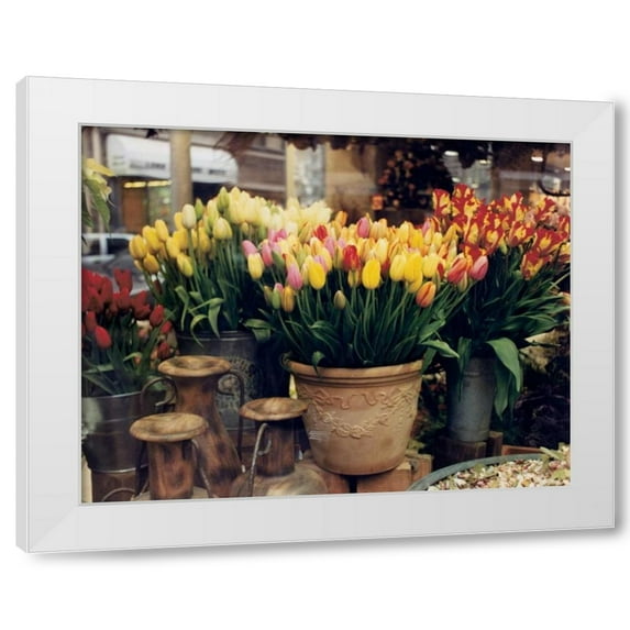 Zeny Cieslikowski 14x12 White Modern Wood Framed Wall Art Titled - Tulips Paris