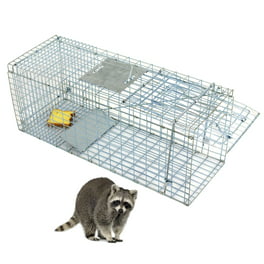 https://i5.walmartimages.com/seo/Zeny-Humane-Live-Animal-Cage-Trap-Mouse-Rat-Skunks-Catch-Bait-Hunting-Survival-Small-Animal_397818f7-0d98-4051-85dc-7acf824ac7ed_1.b80ae4d7fb75d9e7044de658c1f58571.jpeg?odnHeight=264&odnWidth=264&odnBg=FFFFFF