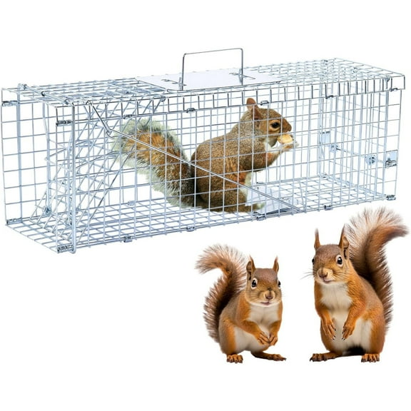 ZephyPaws 24" Live Animal Trap,Humane Animal Trap for Stray Cats up to 5.5 pounds,Raccoons,Squirrels,Skunks,Moles,Marmots,Armadillos,Rabbits, Steel Folding with Pedal Trigger