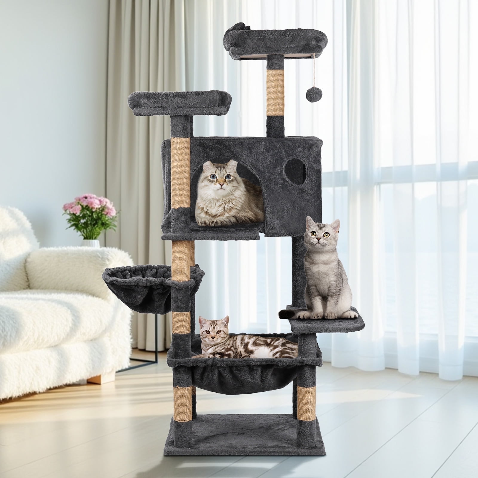 from cat st　10冊 713iFAjwgrL._UF1000,1000_QL80_.jpg