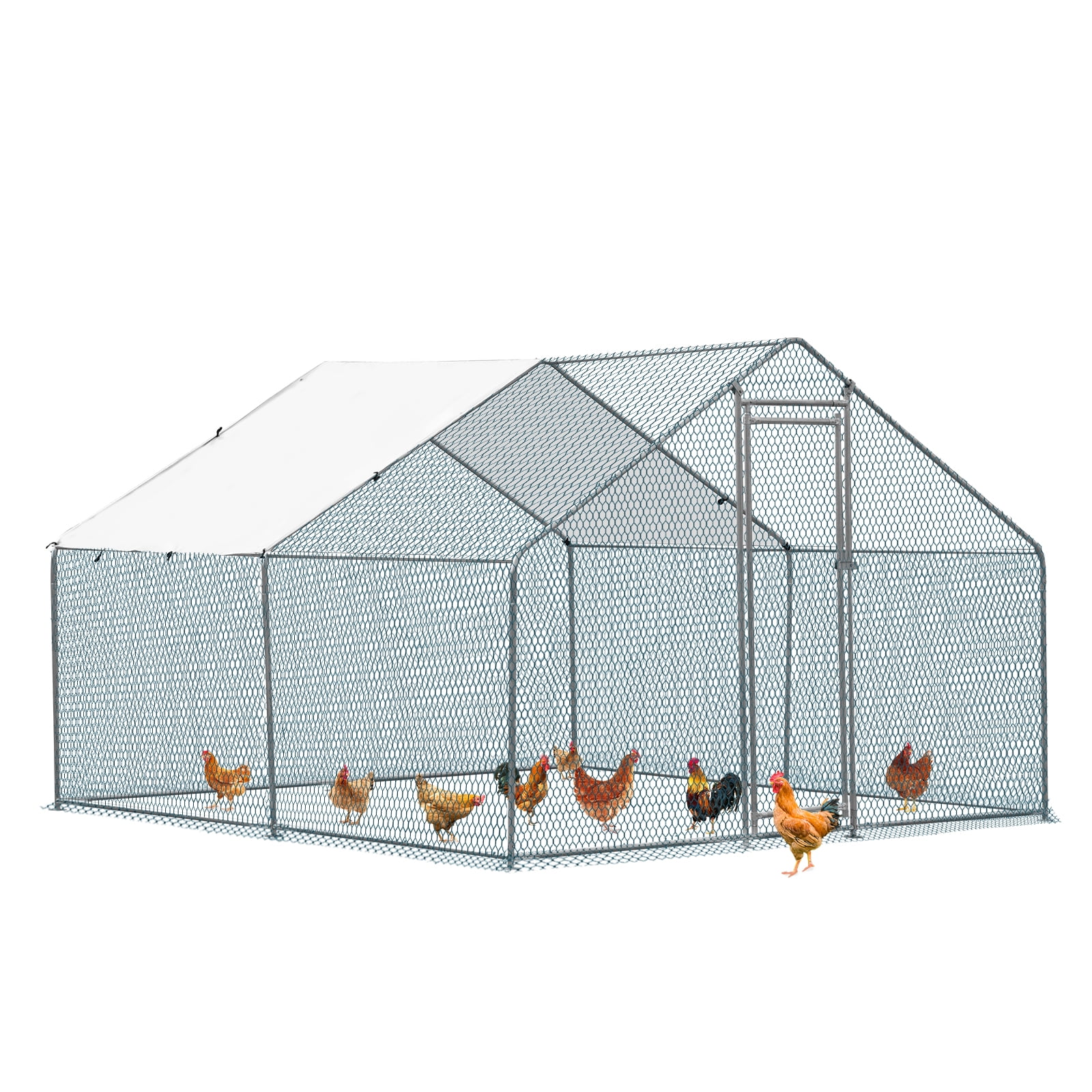 ZephyPaws-Large-Chicken-Coop-