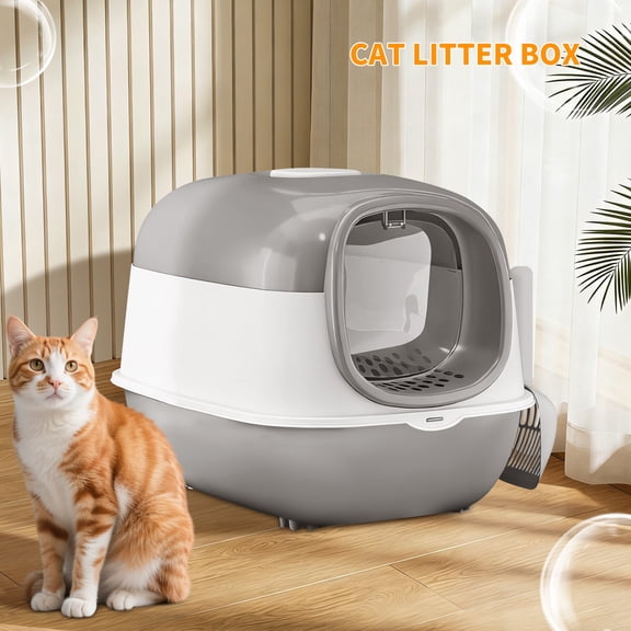 ZephyPaws Thick Material Gray E24 Cat Litter Box,Open Design Large Cat Litter Box with Transparent Wall for Kittens & Seniors,Spacious Interior,Durable Stable Structure,Includes Scoop,Gray