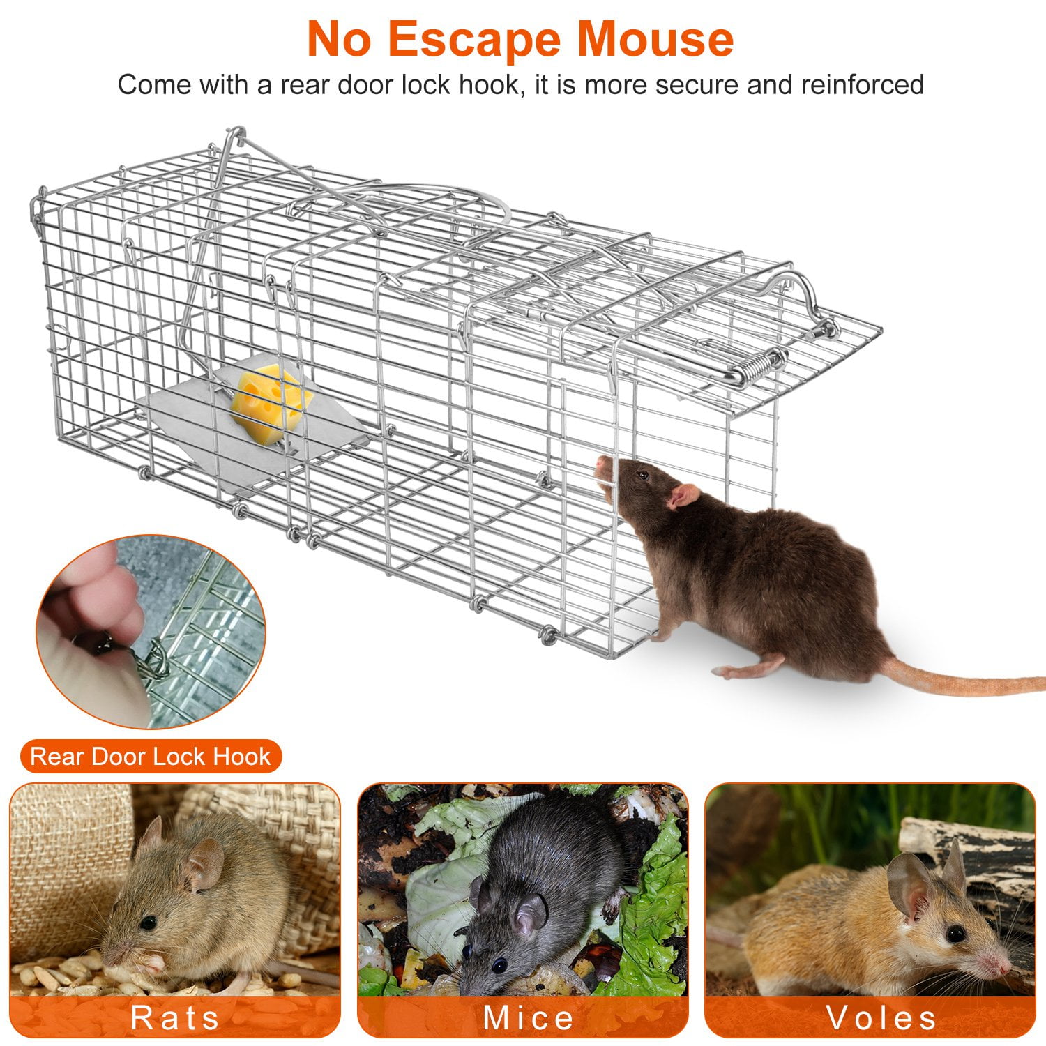 Zephypaws  Live Animal Trap Cage & Small Humane Rat Trap, Foldable Galvanized Steel Humane Animal Cage Trap, Heavy Duty Metal Trap Cage,Control Bait Catch with Detachable L Shaped Rod