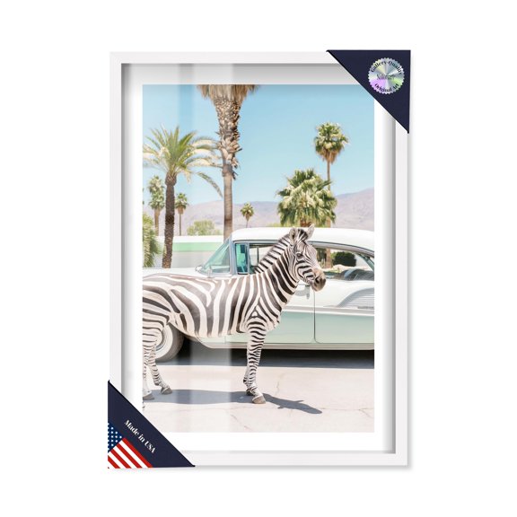 Zephyr Zebra Shadowbox Print Coastal Art Prints by Notoriart, White Frame, 21 x 31