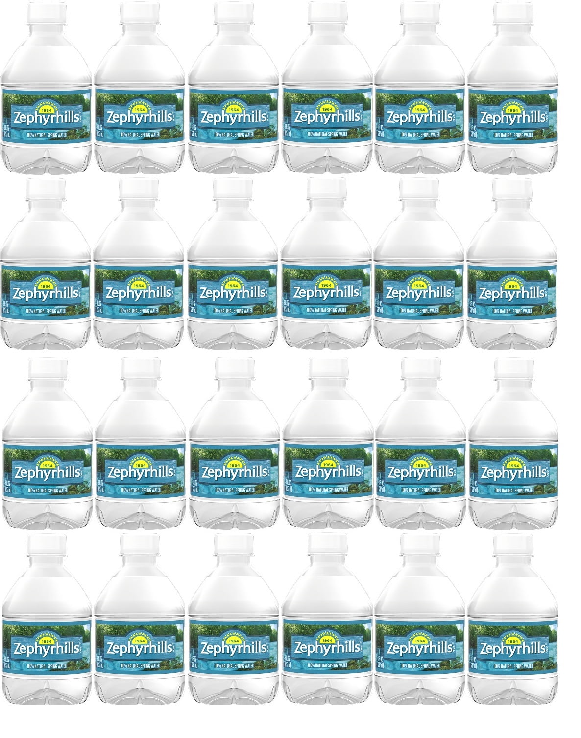 Zephyrhill Florida Spring Bottled Water, 24 Pack - Still Drinking Water with Naturally Occurring Minerals for Taste - 8 Fl Oz Mini Bottles