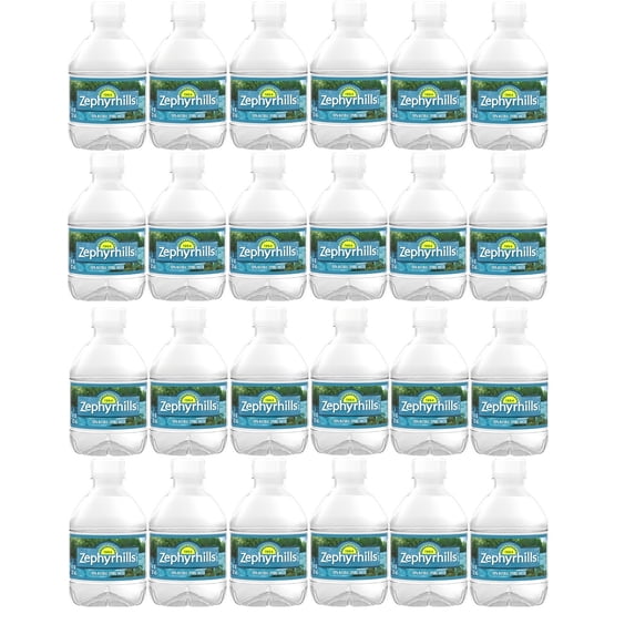 Zephyrhill Florida Spring Bottled Water, 24 Pack - Still Drinking Water with Naturally Occurring Minerals for Taste - 8 Fl Oz Mini Bottles