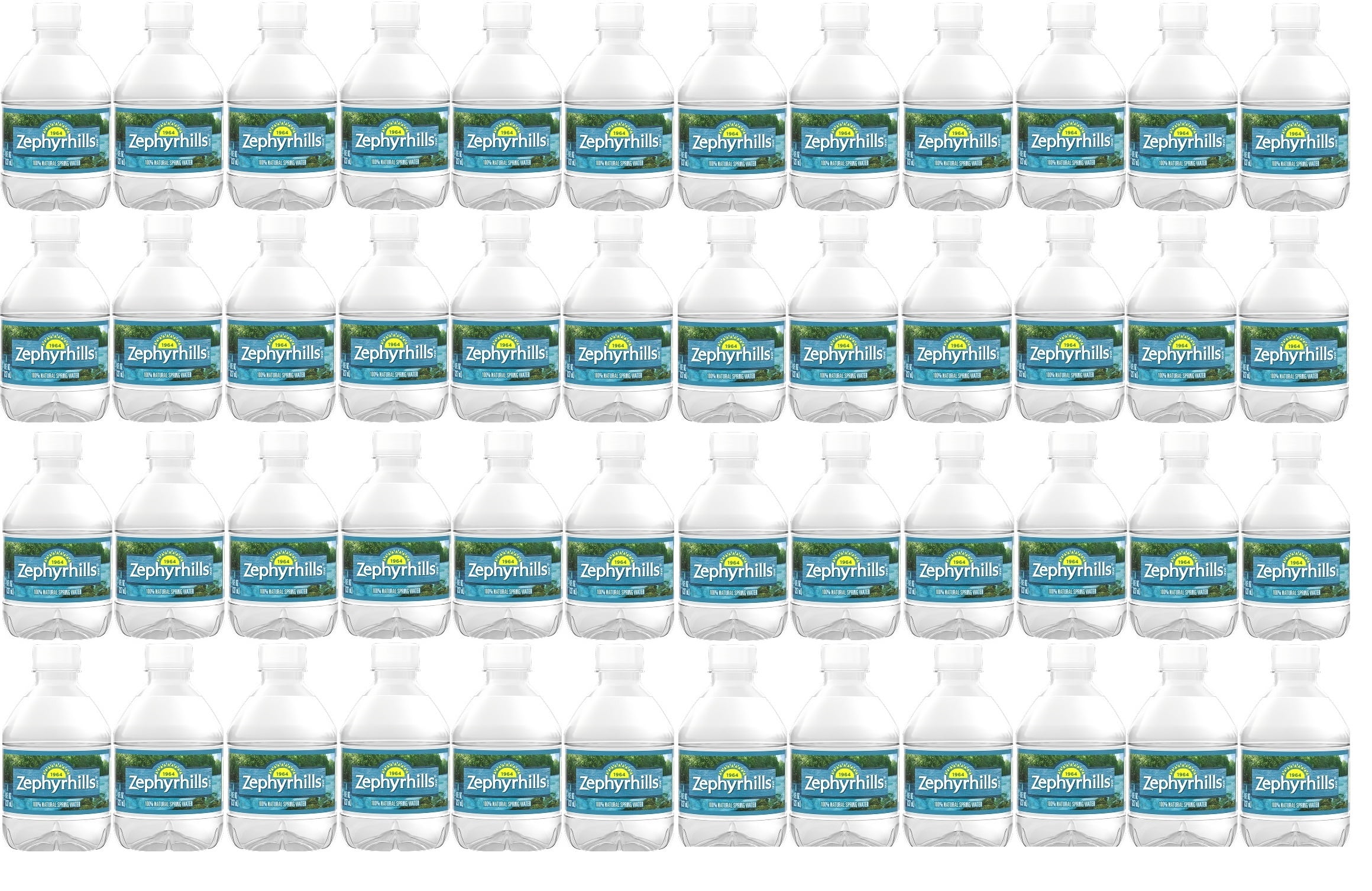 Zephyrhill Florida Spring Bottled Water, Still Drinking Water with Naturally Occurring Minerals for Taste - 8 Fl Oz Mini Bottles (48, 8 Fl Oz)