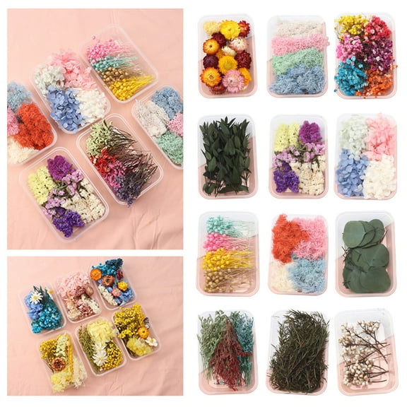 Zeranth DIY Dried Flowers Kit Natural Flowers Bulk Dried Flower DIY Material for Handmade Jewelry Nails Crafts