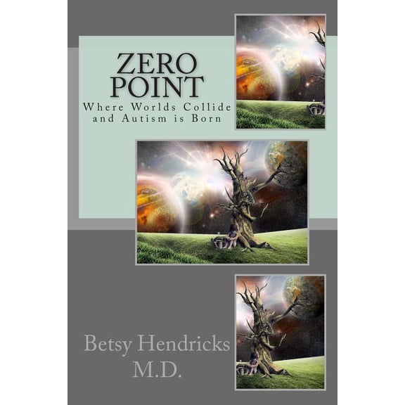 Zero Point: Where Worlds Collide and Autism is Born  Paperback  1496181425 9781496181428 Betsy Hendricks M.D.