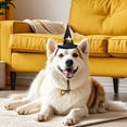 thumbnail image 1 of ZestqaQ Adjustable Pet Hat, Festive Cat Hat, Dog Headwear for Holiday Parties, Pet Costume Accessory for Photos, Perfect for Themed Gatherings, 1 of 3