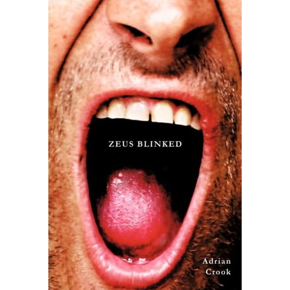 Zeus Blinked (Paperback)